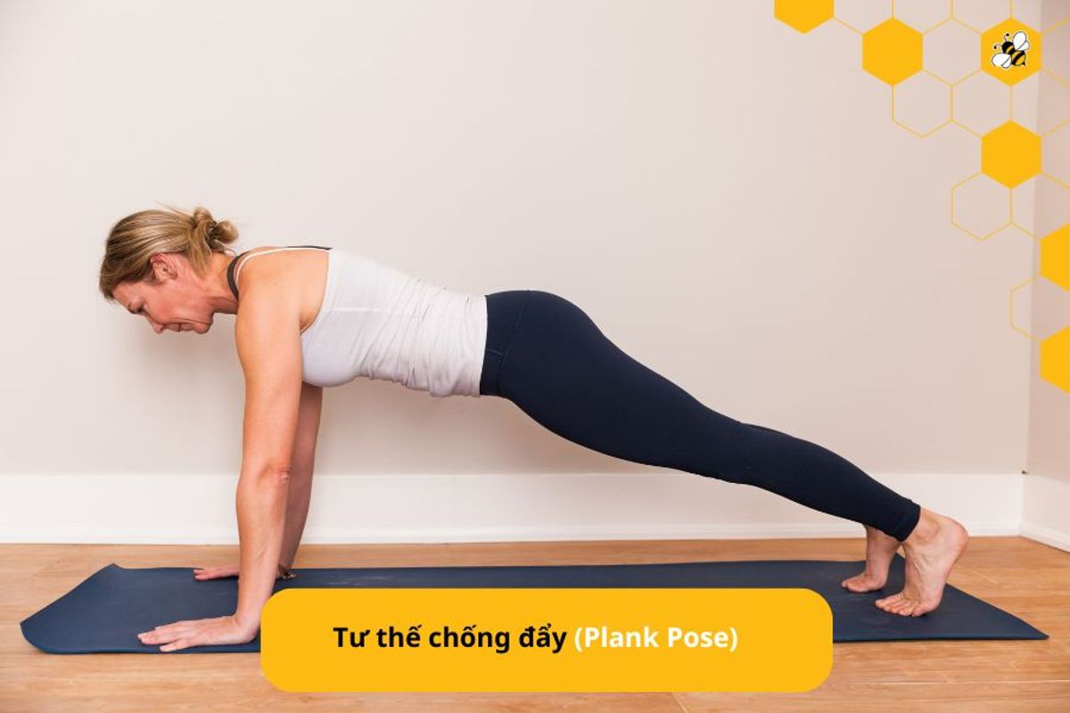 Tư thế chống đẩy (Plank Pose)