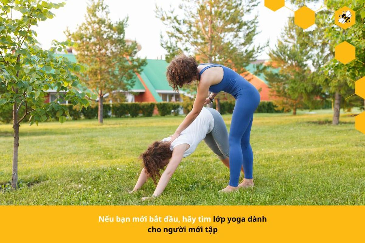 Nếu bạn mới bắt đầu, hãy tìm lớp yoga dành cho người mới tập