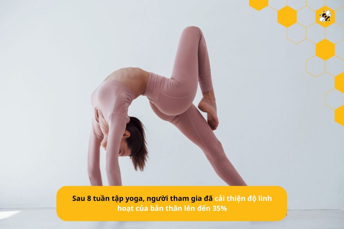 Sau 8 tuần tập yoga, người tham gia đã cải thiện độ linh hoạt của bản thân lên đến 35%