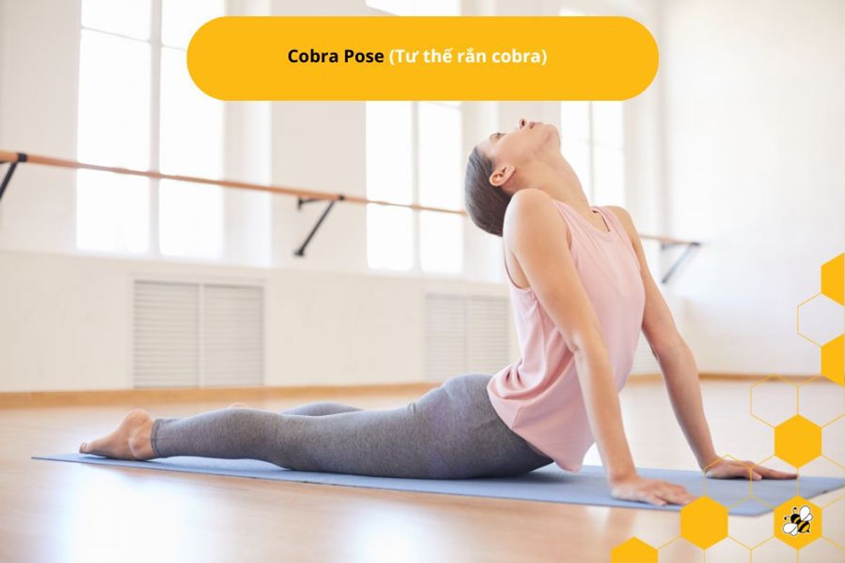 Cobra Pose (Tư thế rắn cobra)