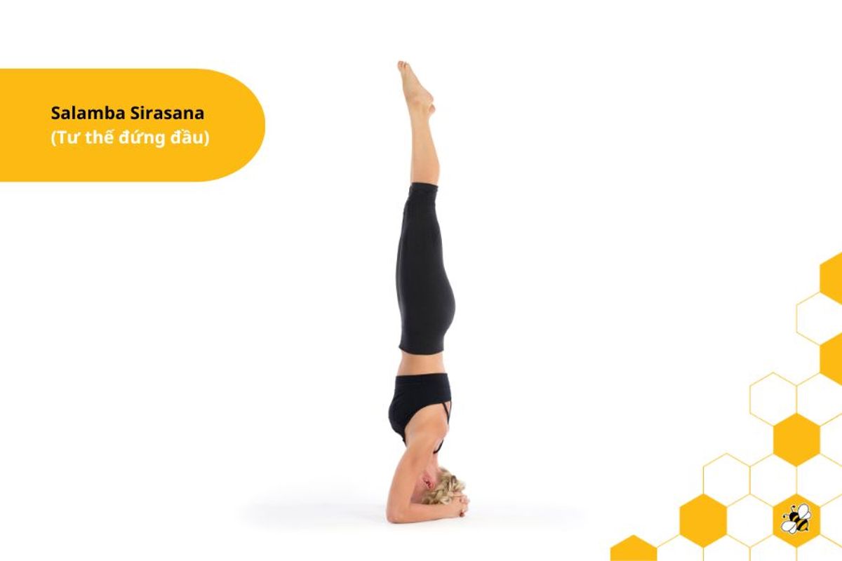 Salamba Sirasana (Tư thế đứng đầu)