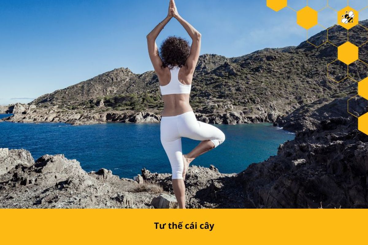 Tư thế cái cây