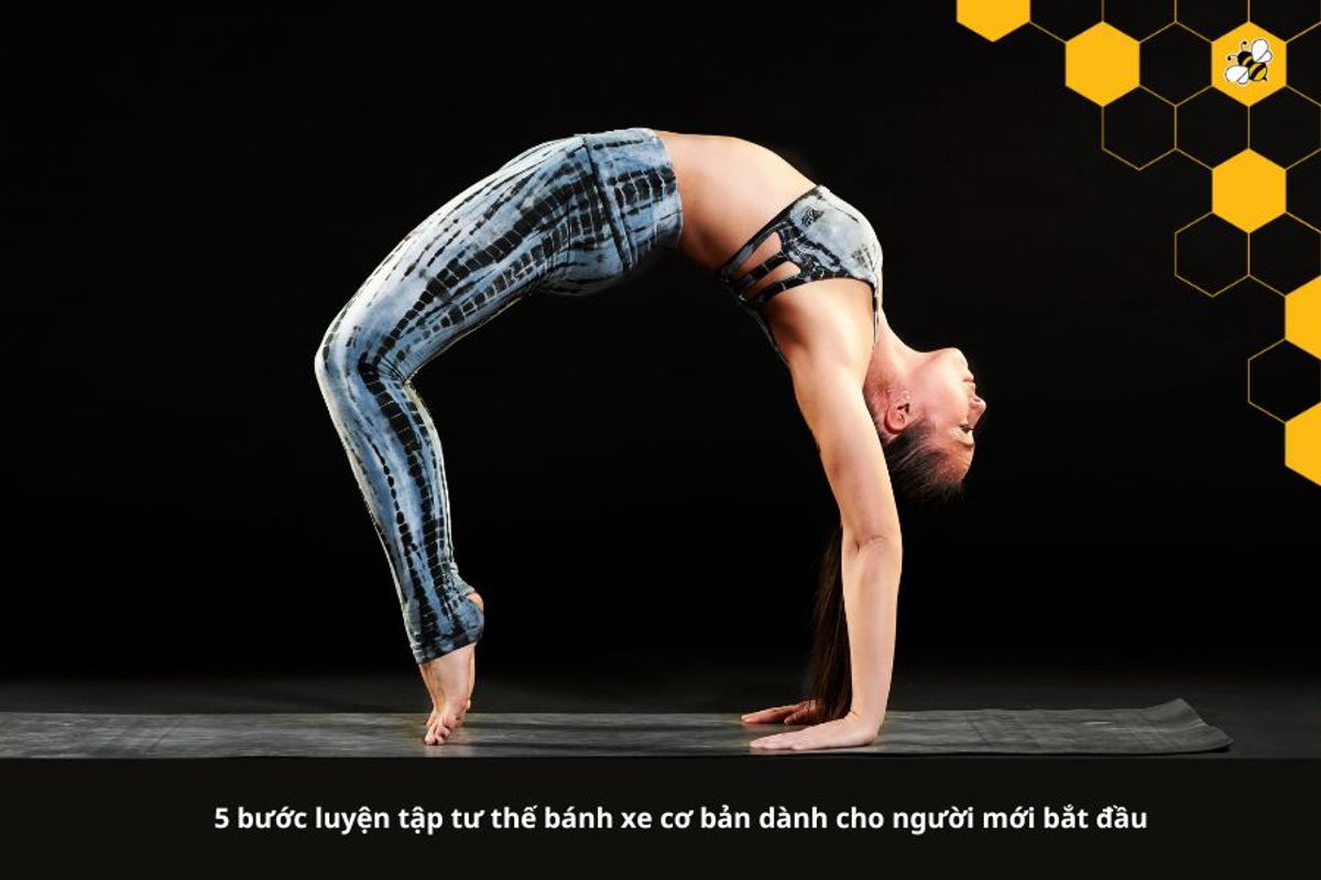 5 bước luyện tập tư thế bánh xe cơ bản dành cho người mới bắt đầu