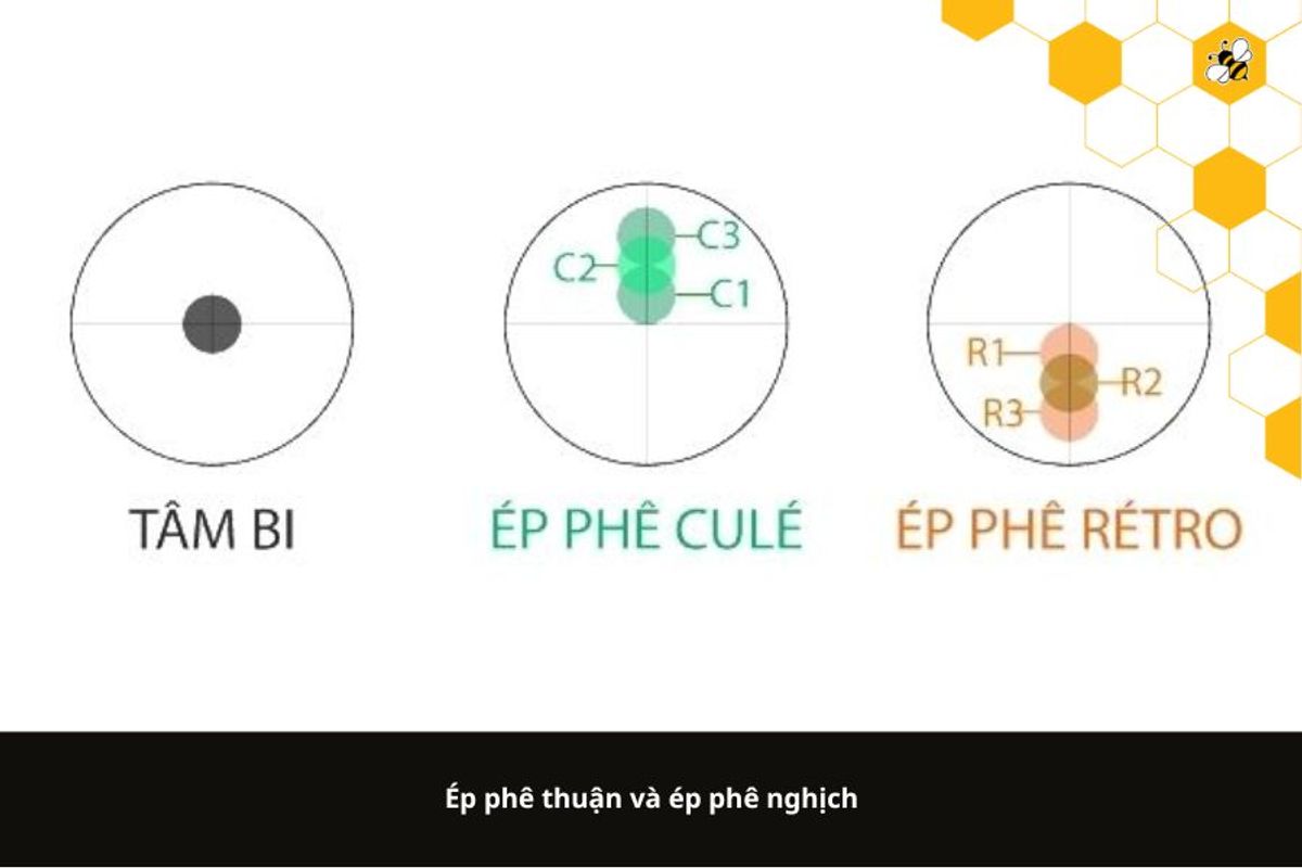 Ép phê thuận và ép phê nghịch