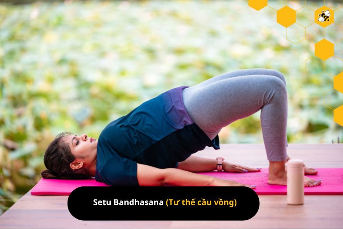 Setu Bandhasana (Tư thế cầu vồng)