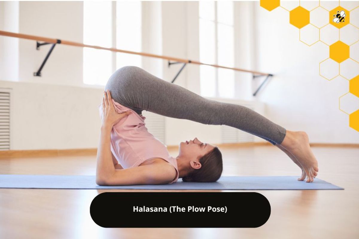 Halasana (The Plow Pose)