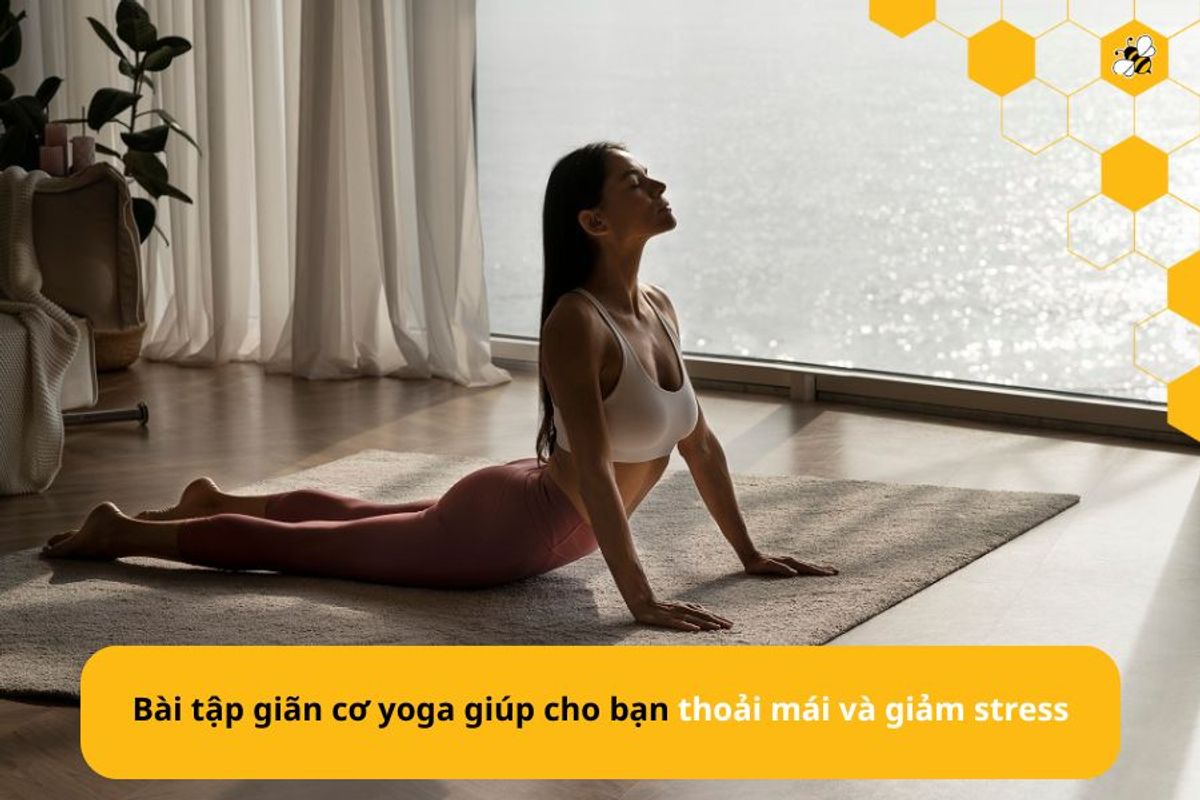 Bài tập giãn cơ yoga giúp cho bạn thoải mái và giảm stress