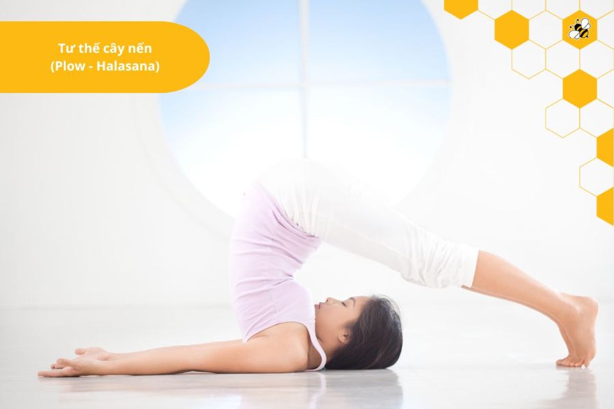 Tư thế cây nến (Plow - Halasana)