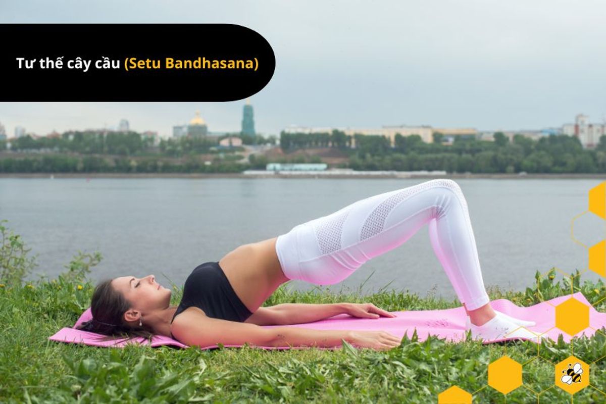 Tư thế cây cầu (Setu Bandhasana)