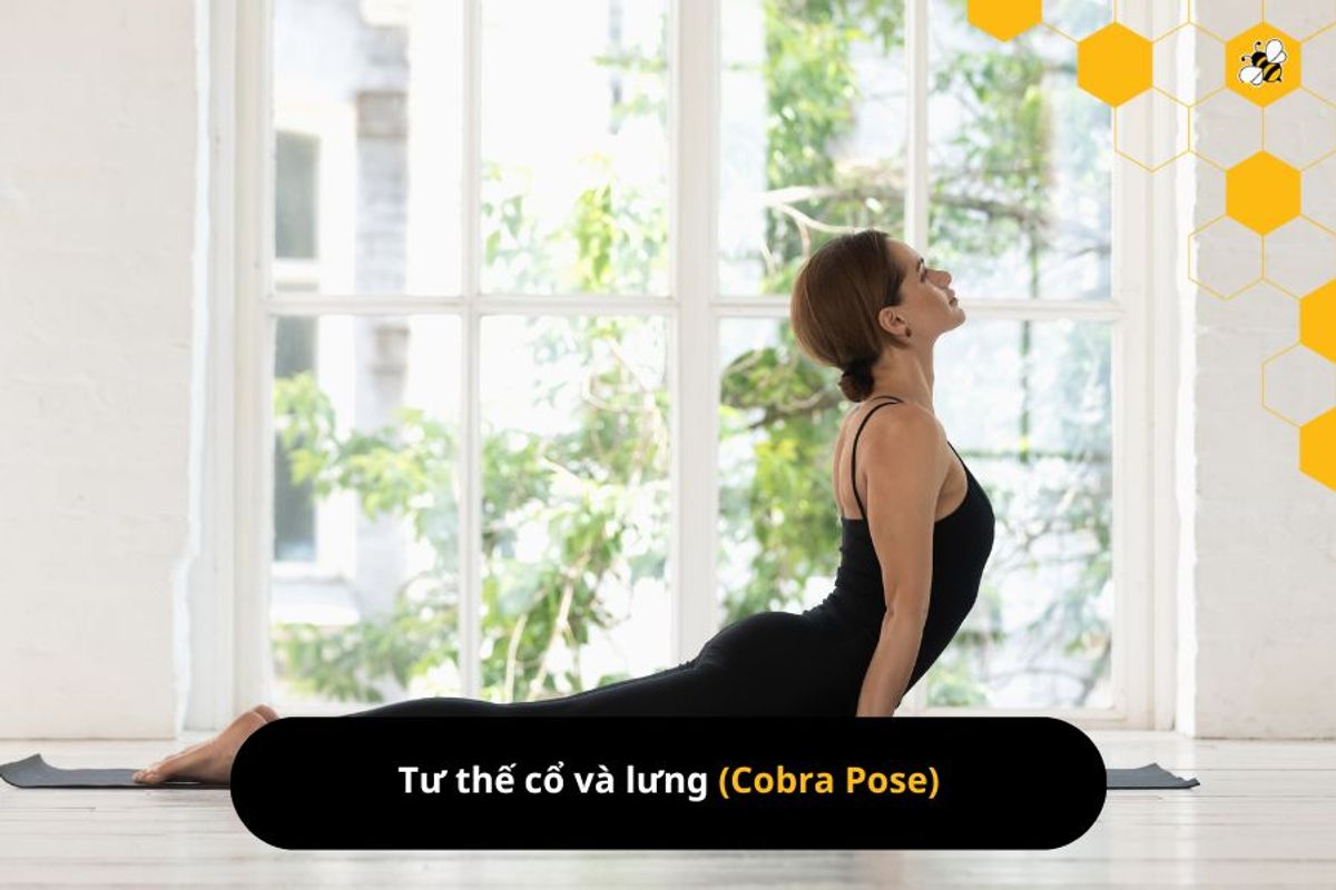 Tư thế cổ và lưng (Cobra Pose)