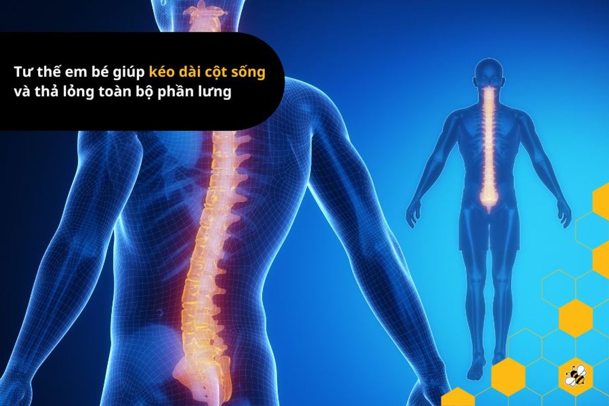 Tư thế em bé giúp kéo dài cột sống và thả lỏng toàn bộ phần lưng