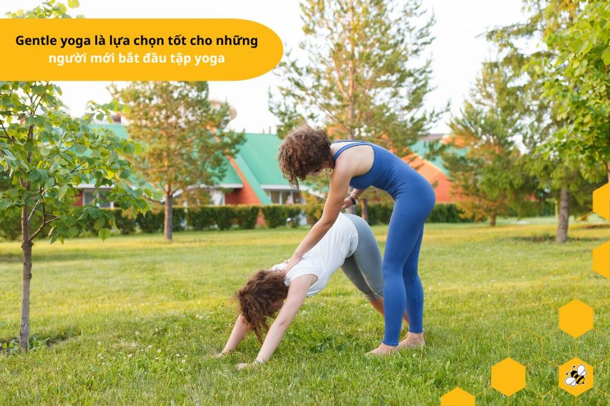 Gentle yoga là lựa chọn tốt cho những người mới bắt đầu tập yoga