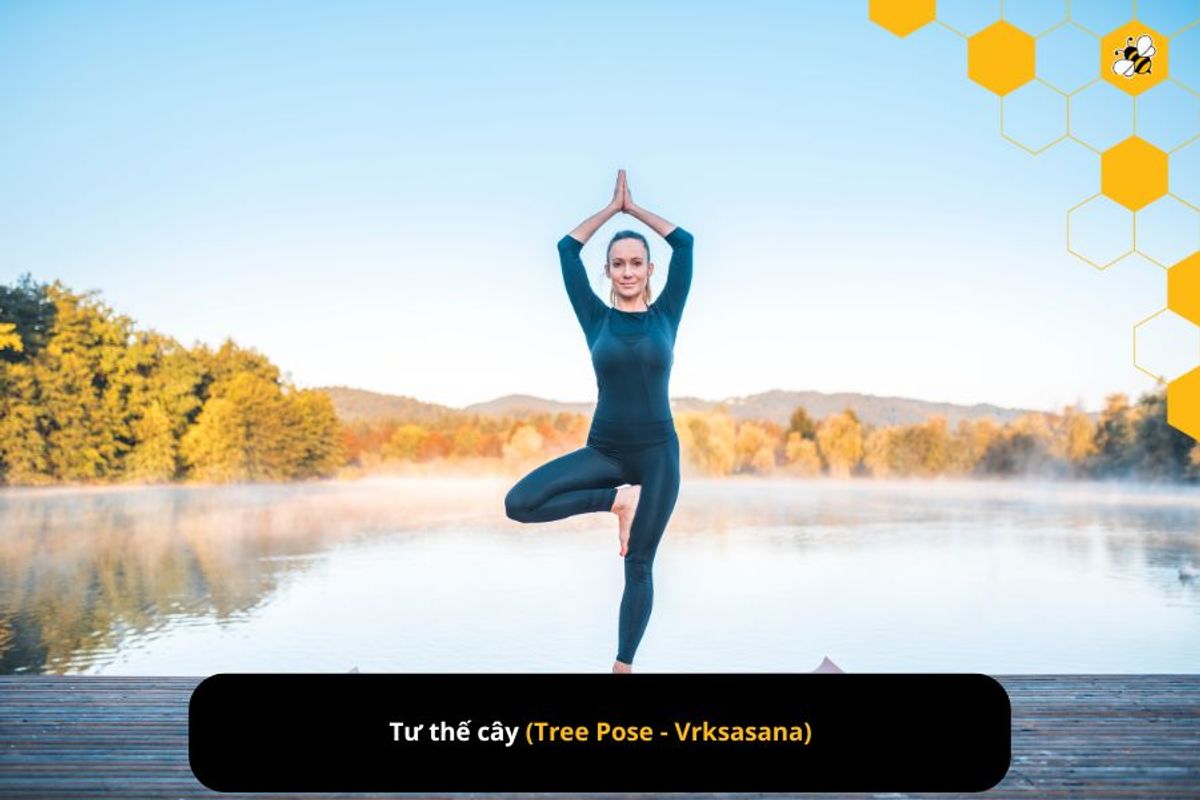 Tư thế cây (Tree Pose - Vrksasana)