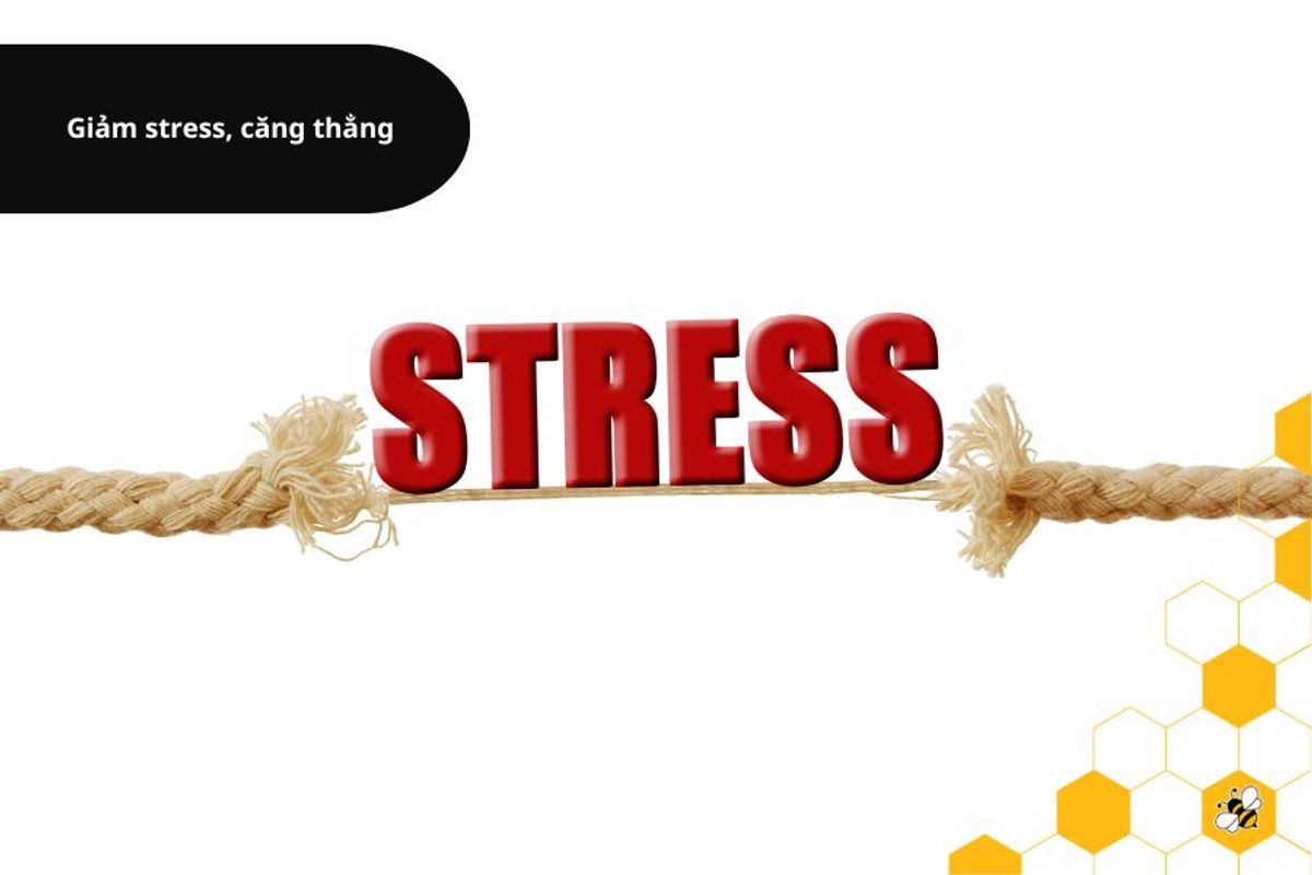 Giảm stress, căng thẳng