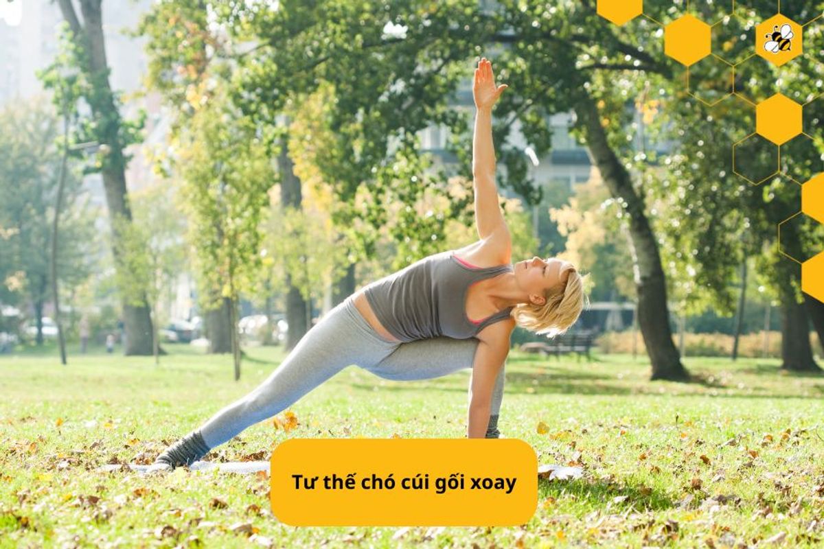 Tư thế chó cúi gối xoay