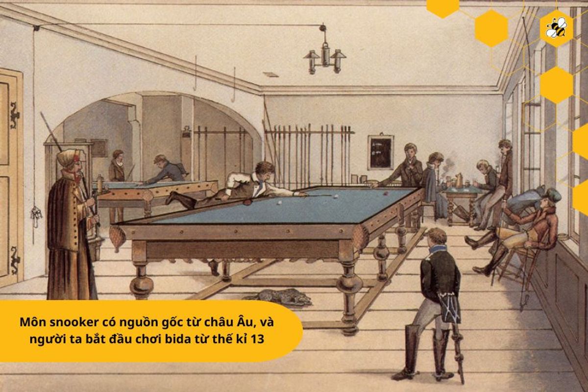 Môn snooker có nguồn gốc từ châu Âu, và người ta bắt đầu chơi bida từ thế kỉ 13