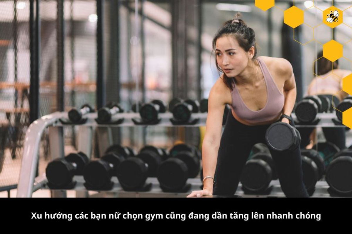 Xu hướng các bạn nữ chọn gym cũng đang dần tăng lên nhanh chóng