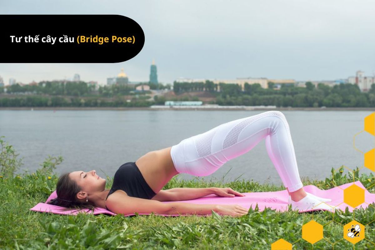 Tư thế cây cầu (Bridge Pose)