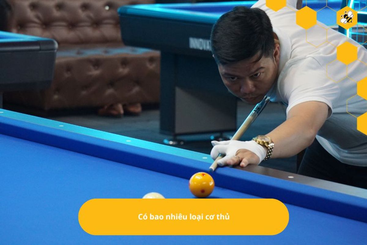 Có bao nhiêu loại cơ thủ