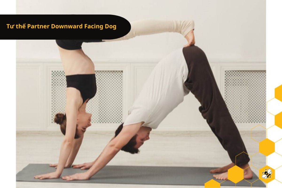 Tư thế Partner Downward Facing Dog