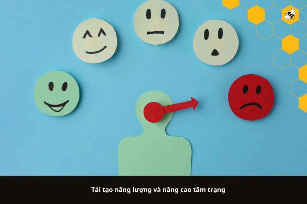 Tái tạo năng lượng và nâng cao tâm trạng