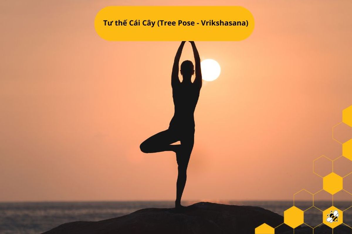 Tư thế Cái Cây (Tree Pose - Vrikshasana)