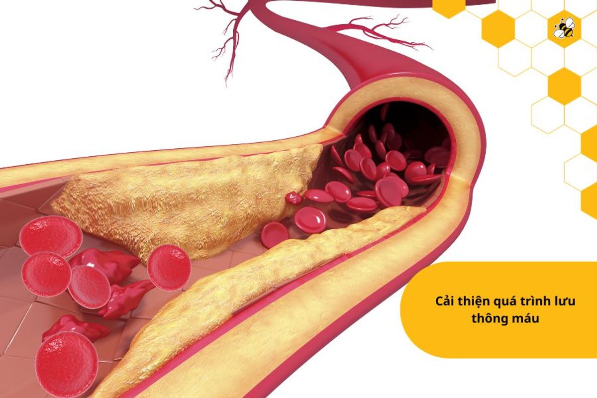 Cải thiện quá trình lưu thông máu