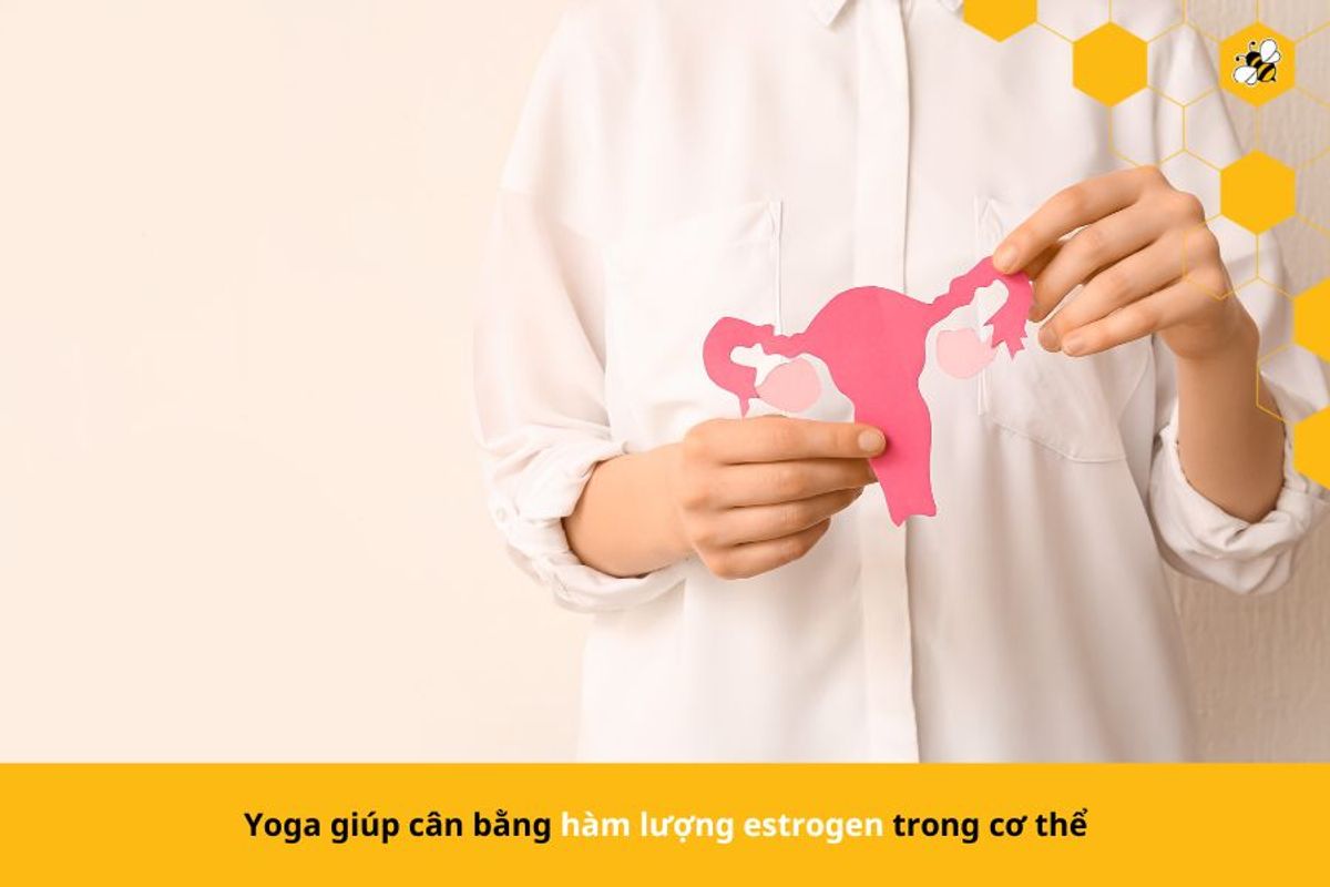 Yoga giúp cân bằng hàm lượng estrogen trong cơ thể