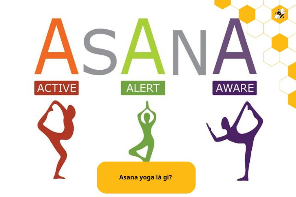 Asana yoga là gì? 