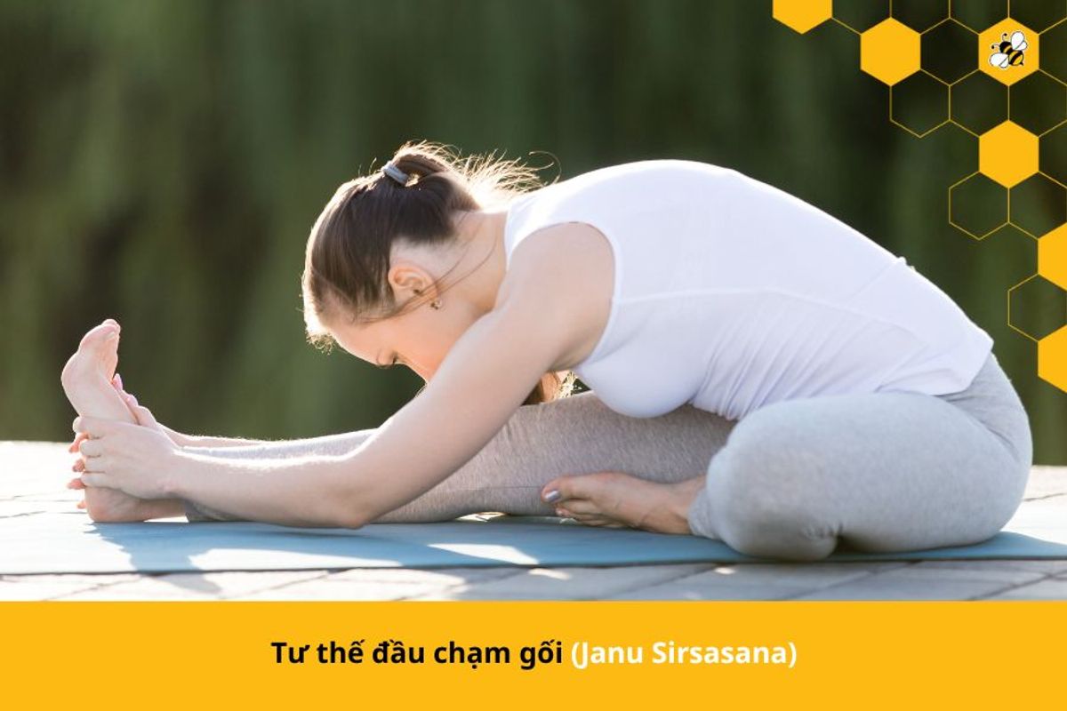 Tư thế đầu chạm gối (Janu Sirsasana)