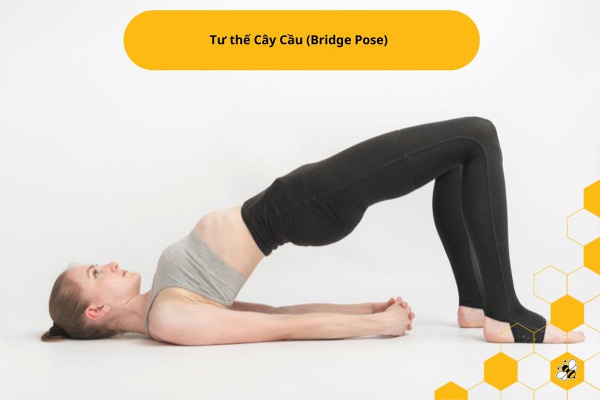 Tư thế Cây Cầu (Bridge Pose)