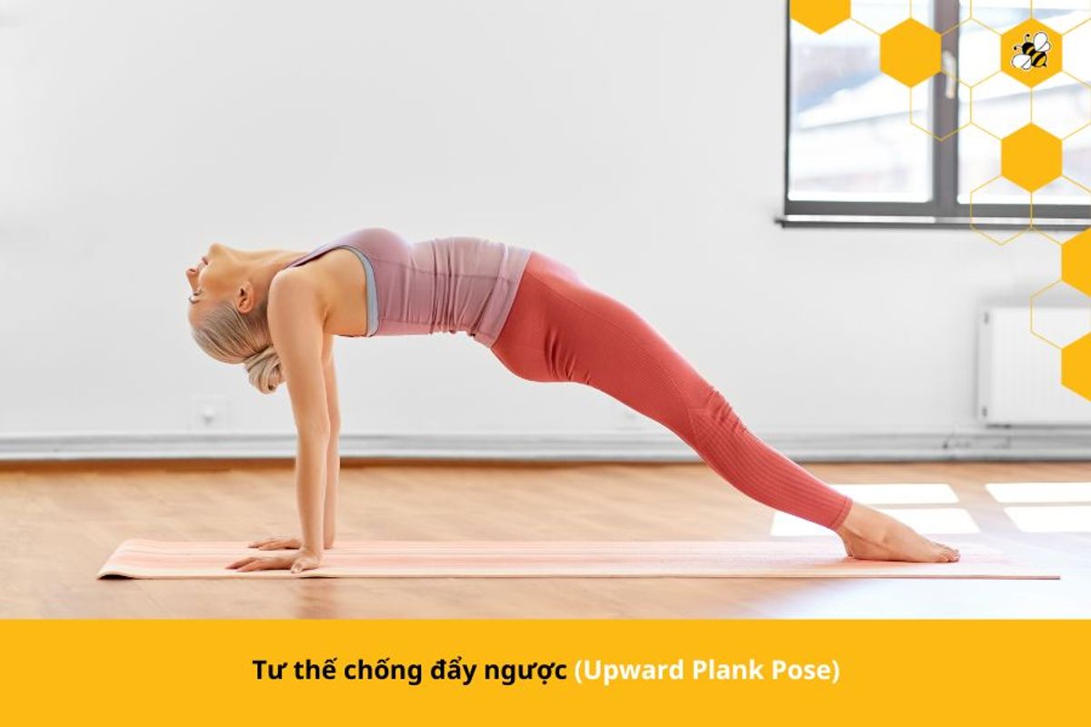 Tư thế chống đẩy ngược (Upward Plank Pose)