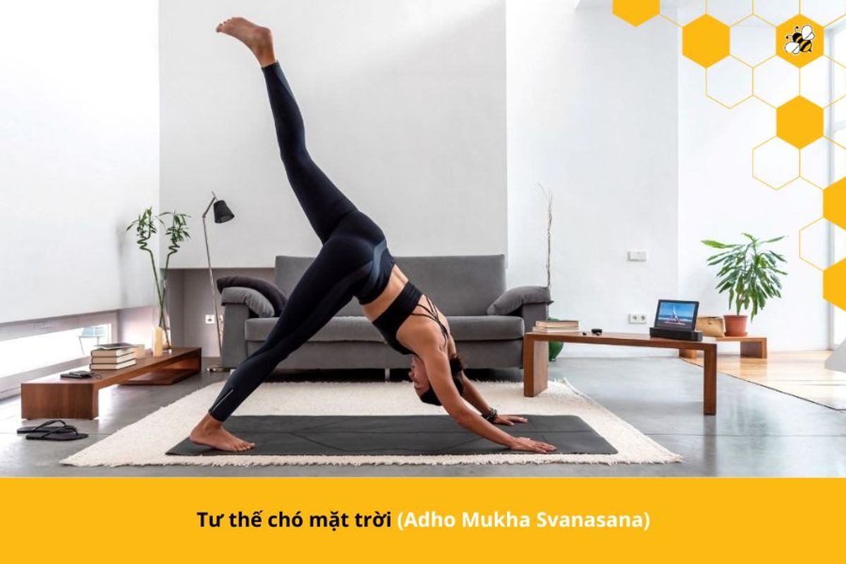 Tư thế chó mặt trời (Adho Mukha Svanasana)