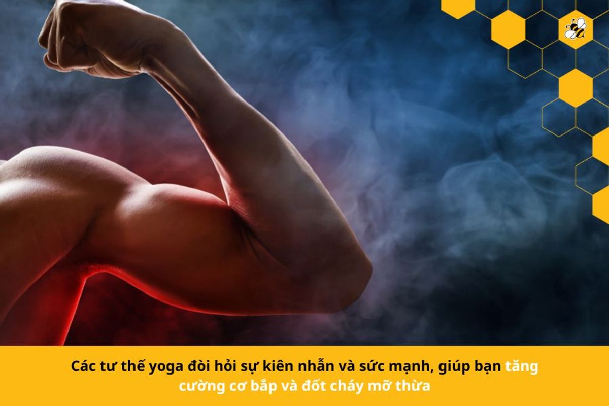 Các tư thế yoga đòi hỏi sự kiên nhẫn và sức mạnh, giúp bạn tăng cường cơ bắp và đốt cháy mỡ thừa