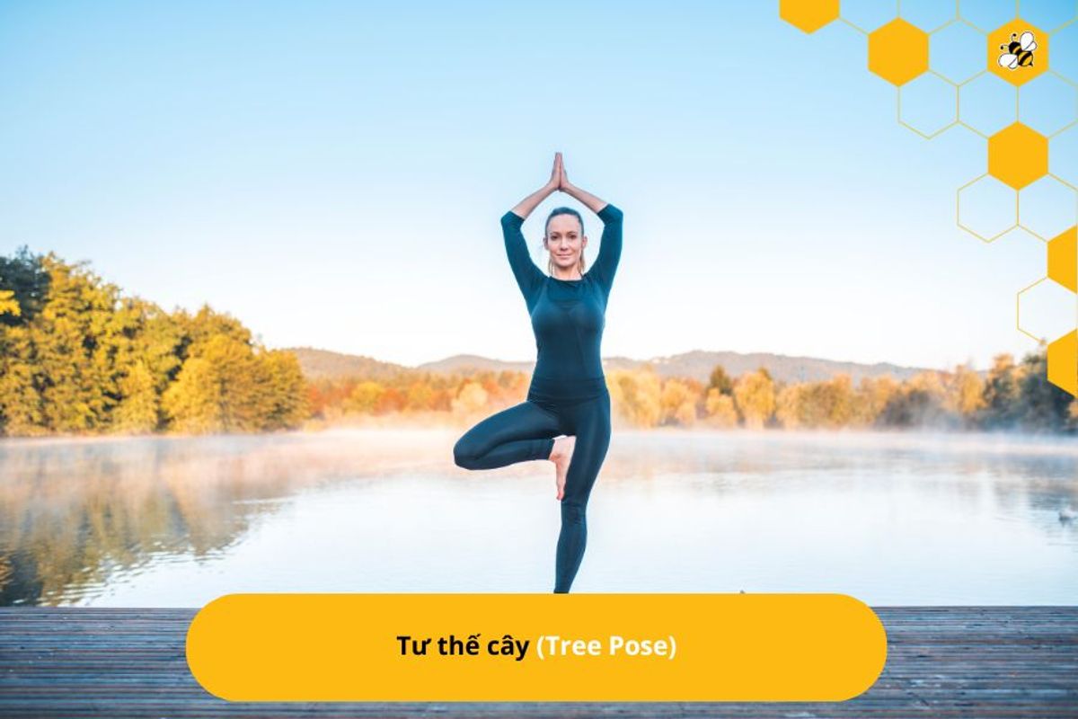 Tư thế cây (Tree Pose)