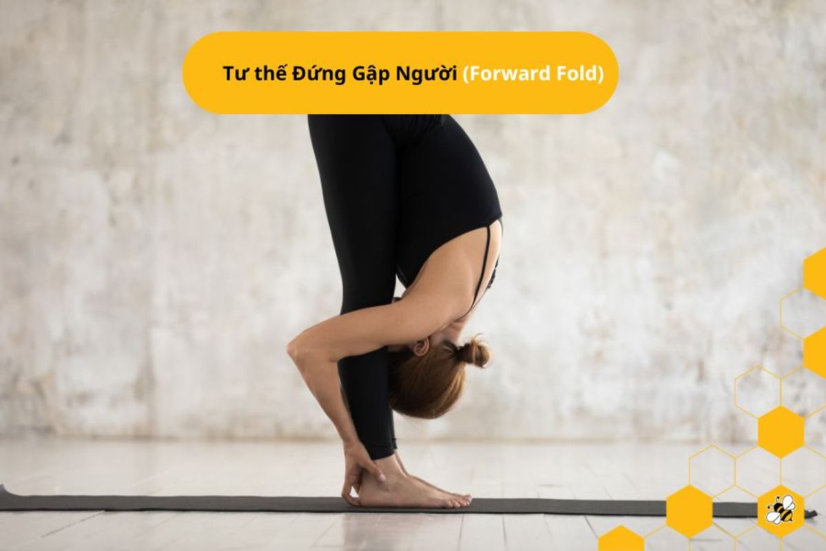 Tư thế Đứng Gập Người (Forward Fold)