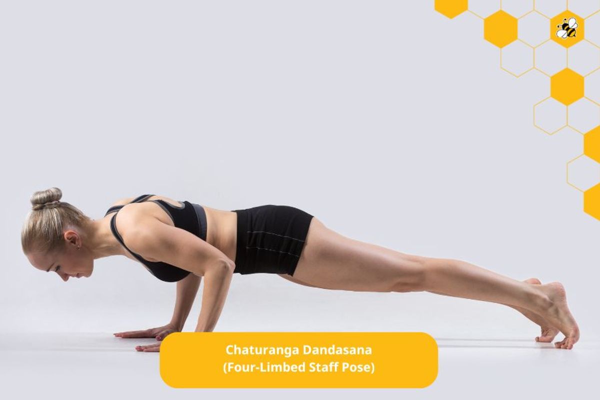 Chaturanga Dandasana (Four-Limbed Staff Pose)