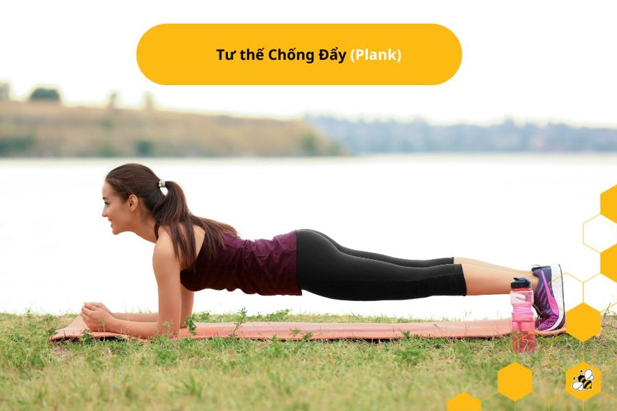 Tư thế Chống Đẩy (Plank)