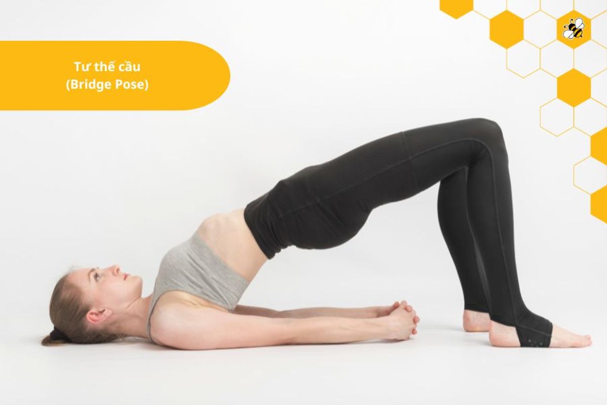 Tư thế cầu (Bridge Pose)