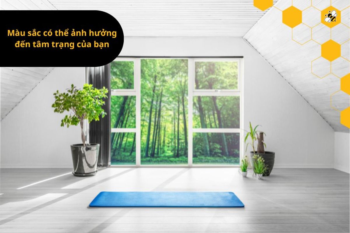 Màu sắc có thể ảnh hưởng đến tâm trạng của bạn