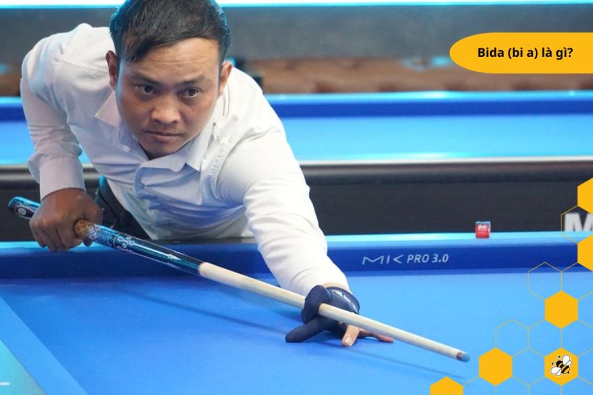 Bida (bi a) là gì?