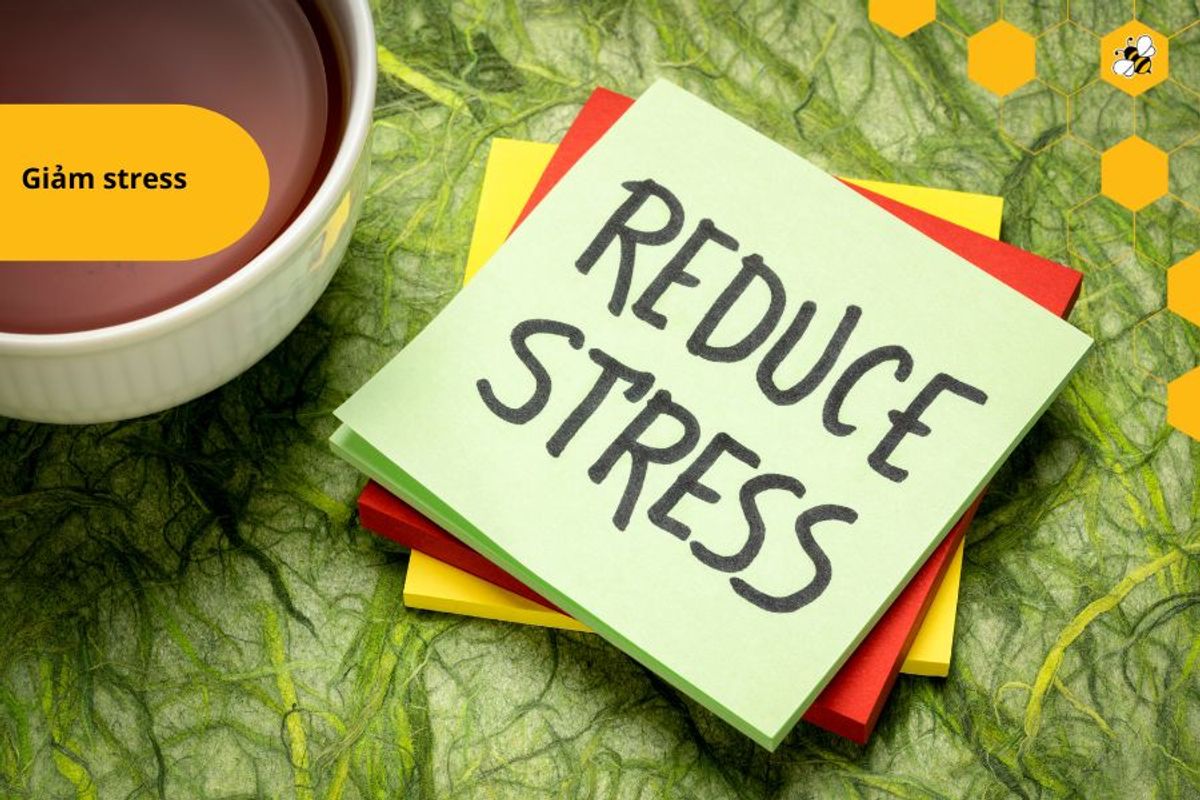 Giảm stress