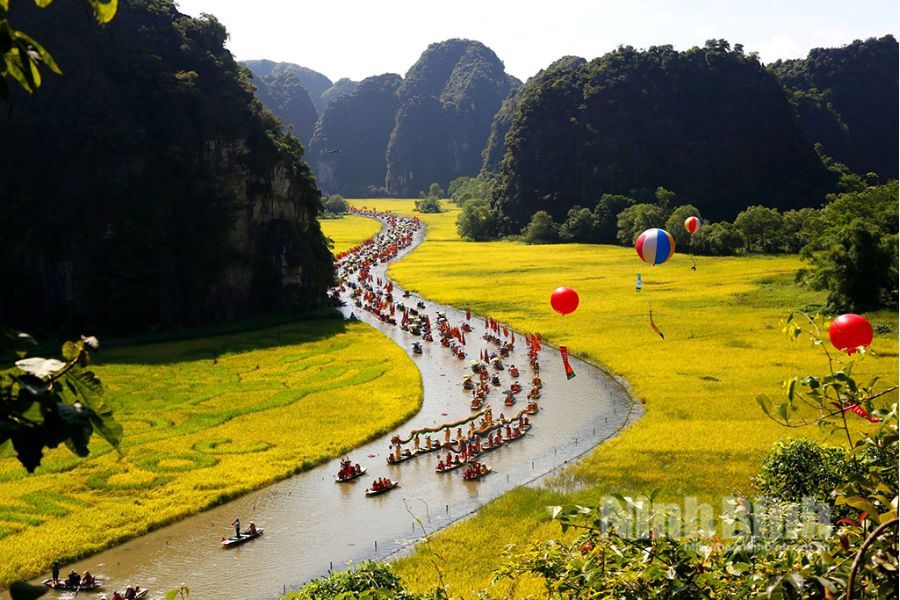 Sân pickleball Ninh Bình