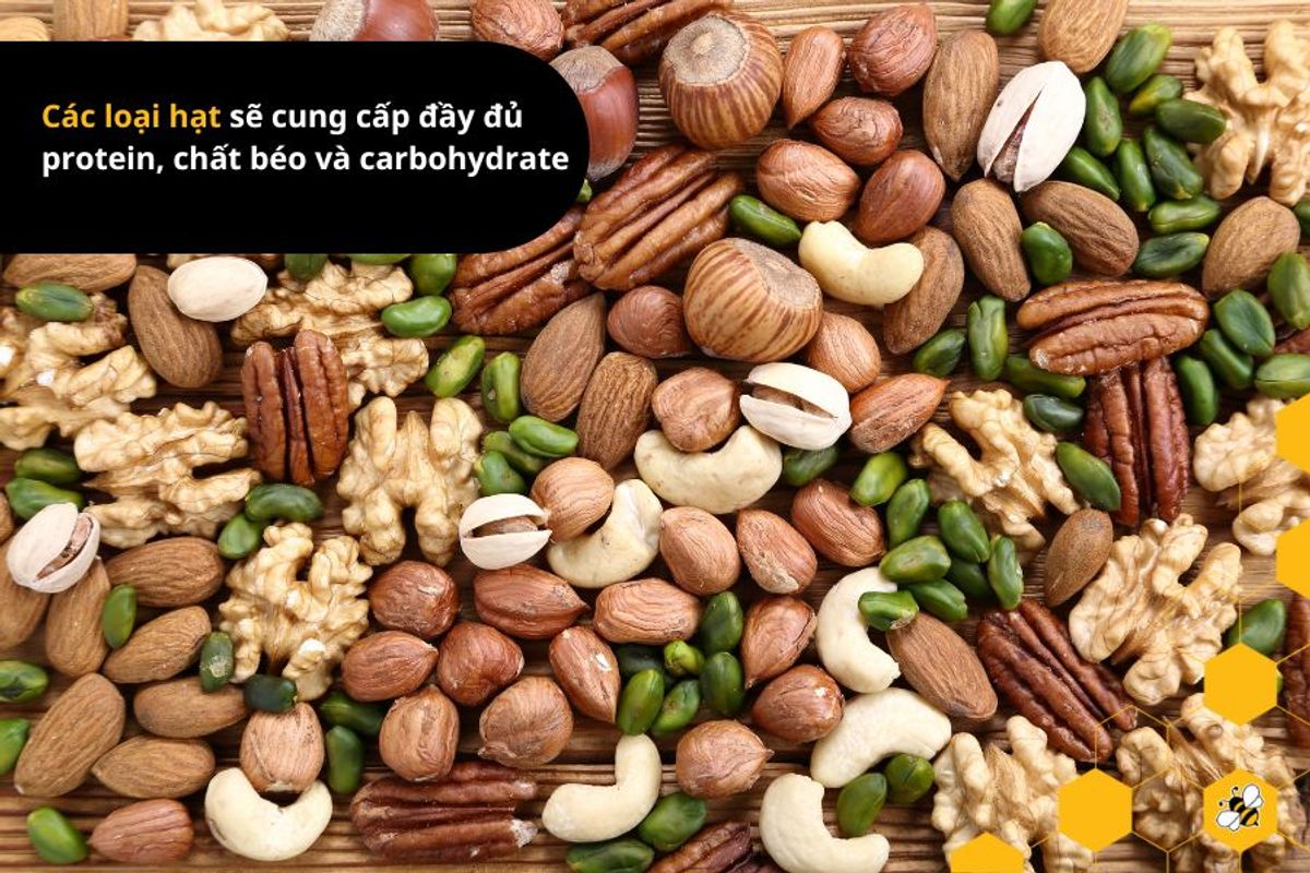 Các loại hạt sẽ cung cấp đầy đủ protein, chất béo và carbohydrate