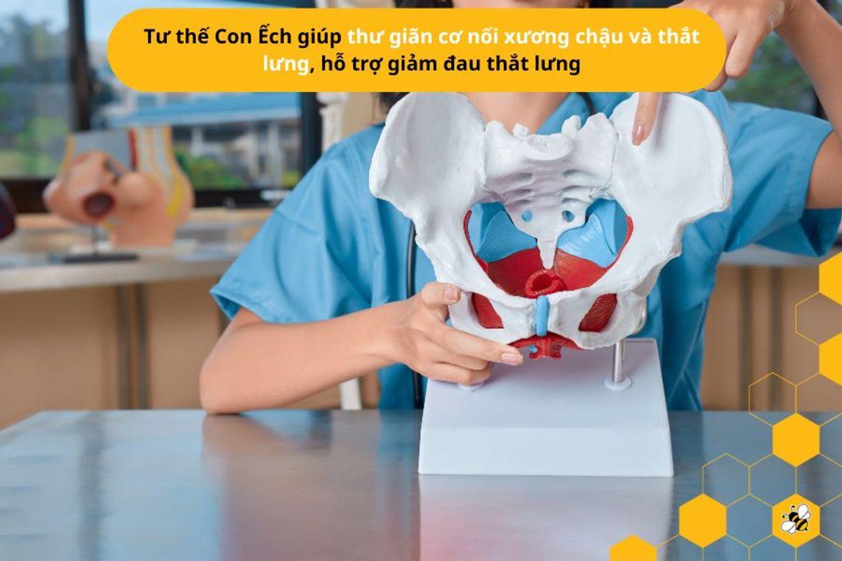 Tư thế Con Ếch giúp thư giãn cơ nối xương chậu và thắt lưng