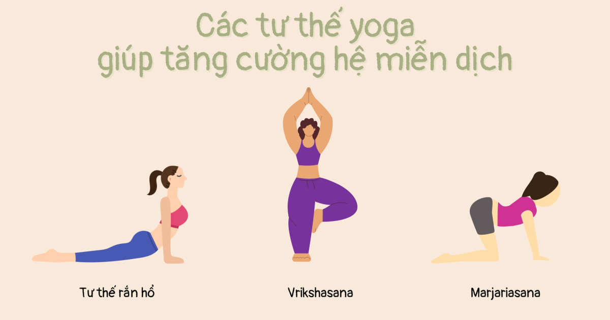 Các tư thế yoga giúp tăng cường hệ miễn dịch