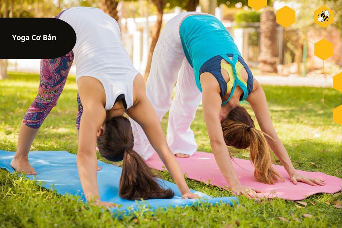 Yoga Cơ Bản