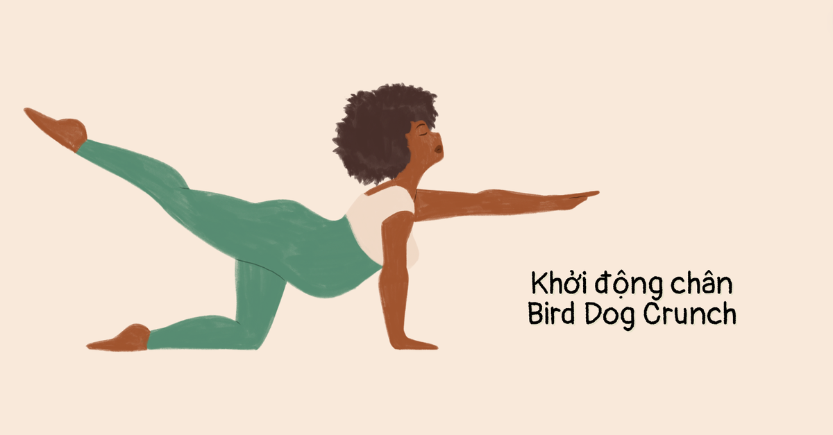 khởi động chân Bird Dog Crunch