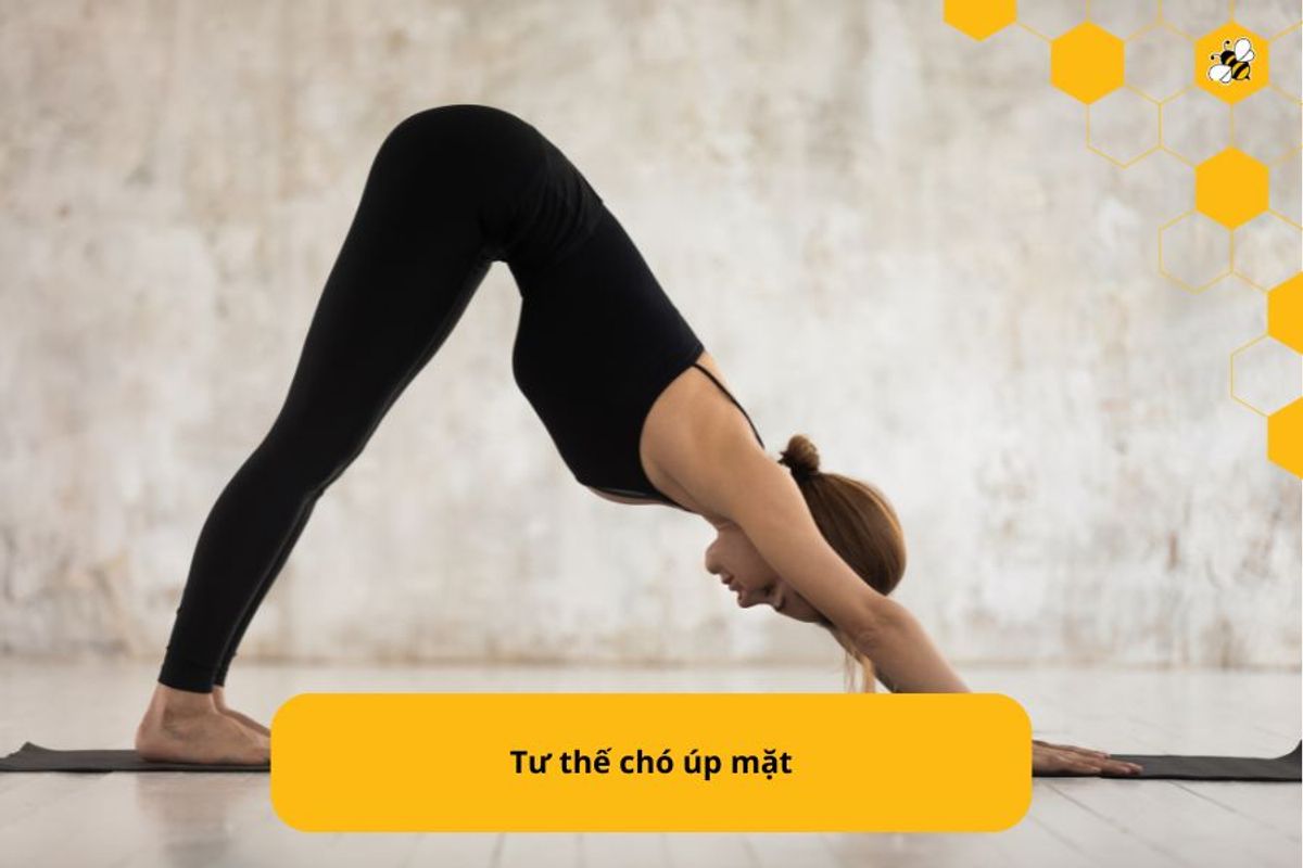 Tư thế chó úp mặt