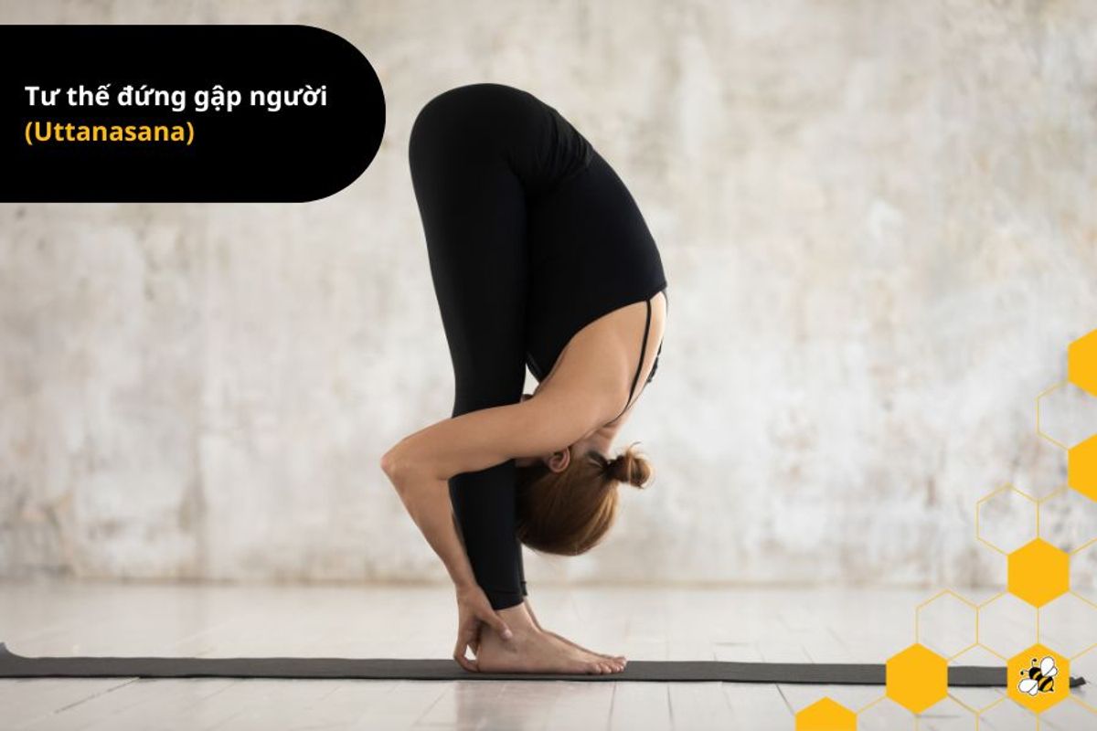 Tư thế đứng gập người (Uttanasana)